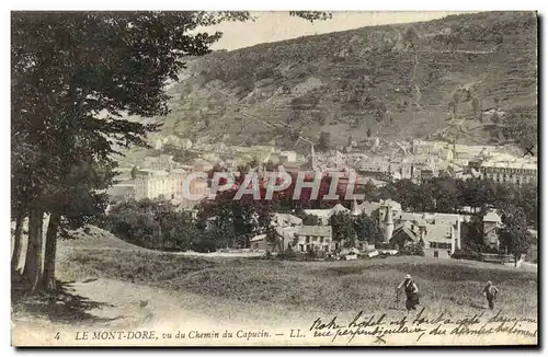 Cartes postales Le Mont Dore Vu Du Chemin Du Capucin