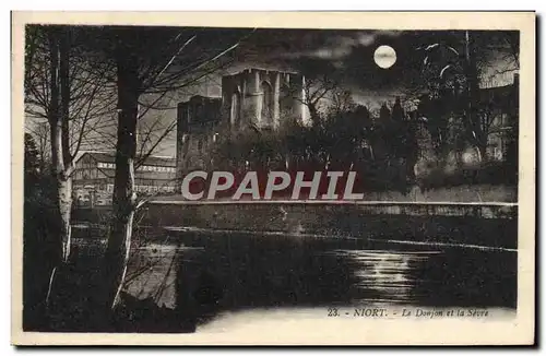 Cartes postales Niort Le Donjon et la Sevre