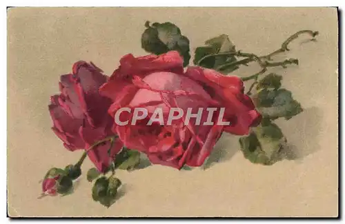 Cartes postales Fantaisie Fleurs Roses