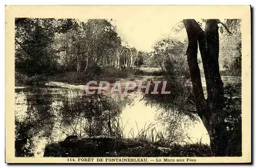 Cartes postales Foret De Fontainebleau La Mare Aux Fees