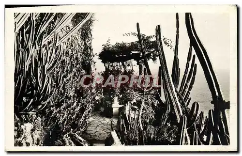 Cartes postales Monte Carlo Jardins Exotiques