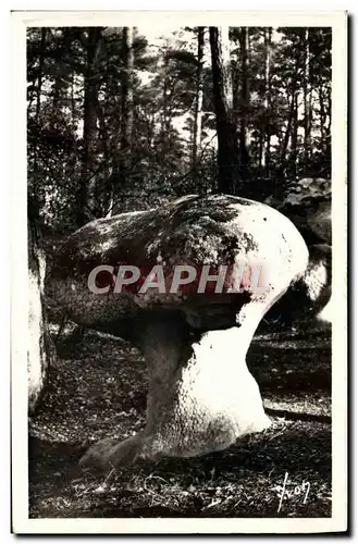 Moderne Karte Fontainebleau La foret Apremont Le champignon