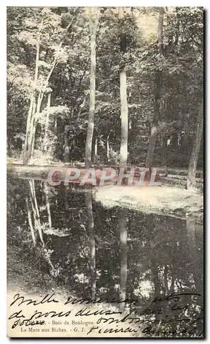 Cartes postales Paris Bois de Boulogne La Mare aux Biches