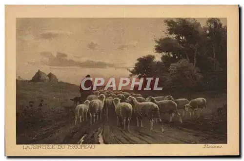 Cartes postales La rentree Du Troupeau Moutons Derians