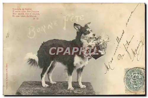 Cartes postales Fantaisie Chien Symbole de fidelite