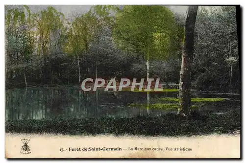 Cartes postales Foret de Saint Germain La Mare aux canes Vue Artistique