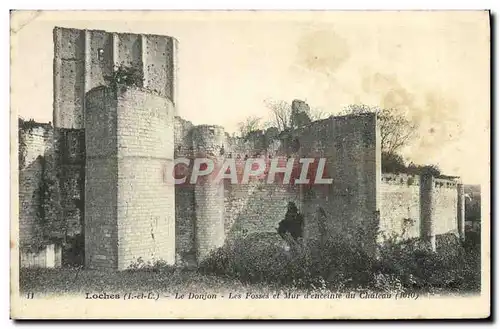 Cartes postales Loches Le Donjon les Fosses et Mur d&#39enceinte du Chateau