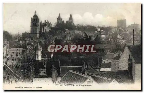 Cartes postales Loches Panorama