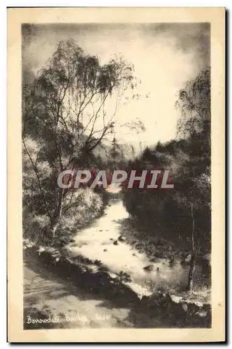 Cartes postales Borrowdale Birches