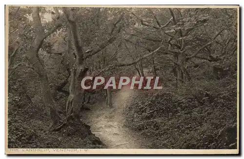 Cartes postales The Landslip Ventnor