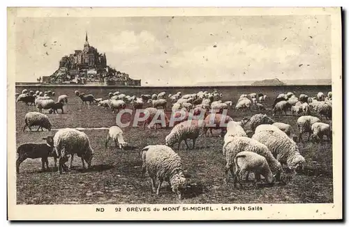 Cartes postales Greves Du Mont St Michel Les Pres Sales Moutons