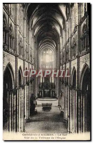 Cartes postales Cathedrale D'Amiens La Nef Vue De La Tribune De l'Orgue