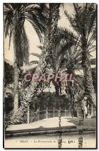 Cartes postales Oran La Promenade De l&#39Etang