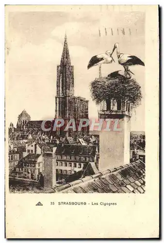 Cartes postales Strasbourg Les Cigognes