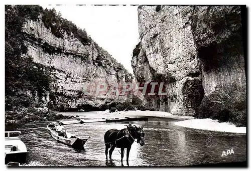 Cartes postales moderne En Parcourant les Gorges du Tarn Les Detroits Un train de barques