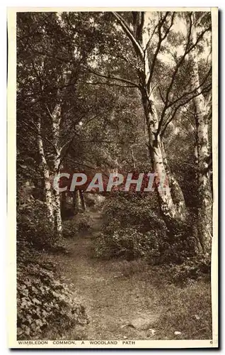 Ansichtskarte AK Wimbledon Common A Woodland Path