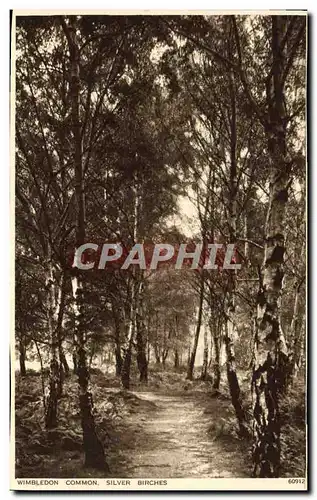 Ansichtskarte AK Wimbledon Common Silver Birches