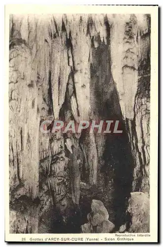 Cartes postales Grottes d'Arcy Sur Cure Salon Gothique