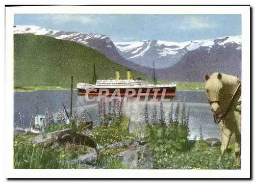 Cartes postales moderne Turistskip i fjordene