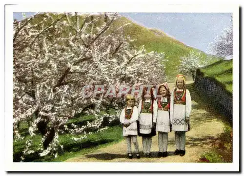 Cartes postales moderne Hardangergjenter