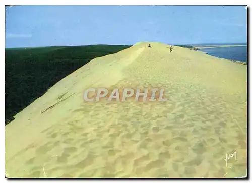 Cartes postales moderne Couleurs Et Lumiere de France Bassin D&#39Arcachon La grande dune de Pilat