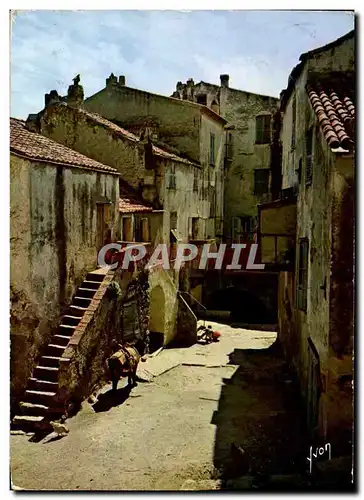 Cartes postales moderne Couleurs Et Lumiere De France La Corse Calvi Vieilles maisons dans la basse ville