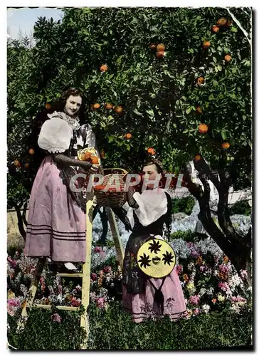 Cartes postales moderne Cote D&#39Azur La cueillette des oranges par des jeunes filles en costume folklorique Folklore