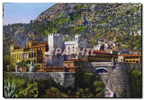 Cartes postales moderne Monaco Le Polais du Prince