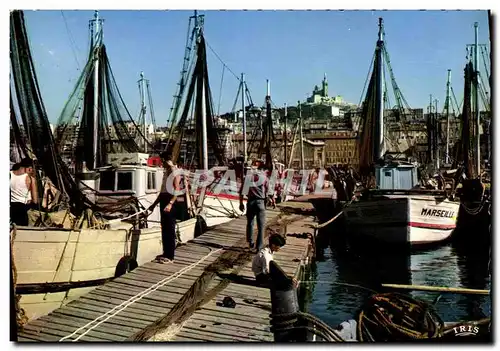 Cartes postales moderne Reflets de Provence Marseille Un Coin du Vieux Port et Notre Dame de la Garde Bateaux Marie Jose