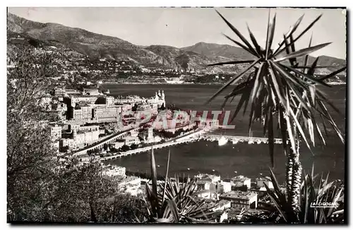 Cartes postales moderne Monte Carlo Vue generale