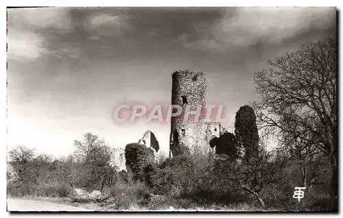 Cartes postales moderne Environs de Dourdan Ruines du Chateau des Granges