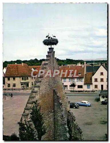 Cartes postales moderne L&#39Alsace Pittoresque Nid de Cigognes Ostheim Oiseaux