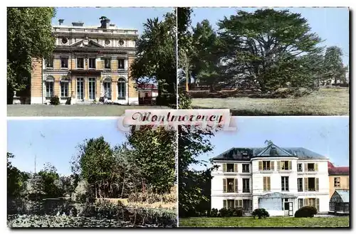 Cartes postales moderne Montmorency L&#39Hotel De Ville Le Cedre Du Liban