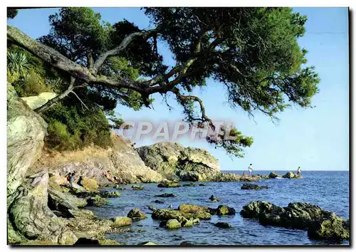 Cartes postales moderne La Cote d&#39Azur Bord De Mer