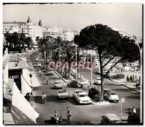 Cartes postales moderne La Cote d&#39Azur Cannes La Promenade De La Croisette