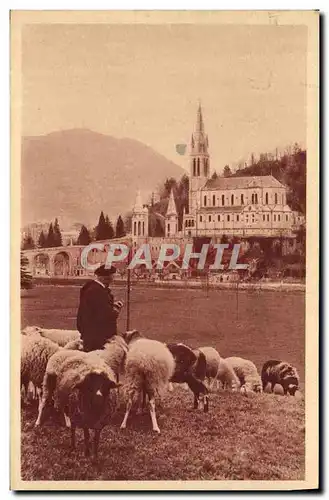 Cartes postales Lourdes La Basilique Berger Moutons