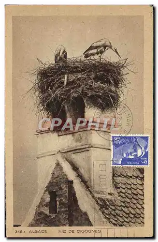 Cartes postales Alsace Nid de Cigognes