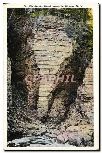 Cartes postales Elephants Head Ausable chasm Elephant