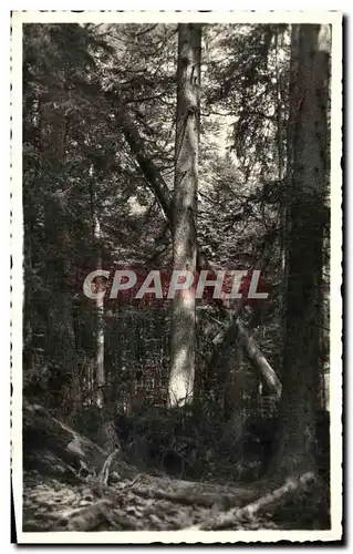 Cartes postales Prales Na Sumave