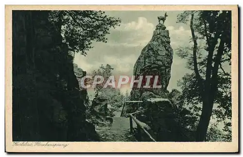 Cartes postales Karlsbad Hirschensprung