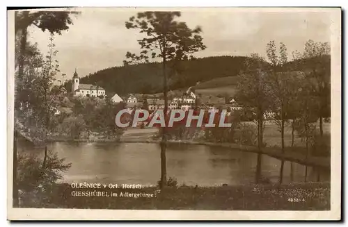 Cartes postales Olesnice V Orl Horach