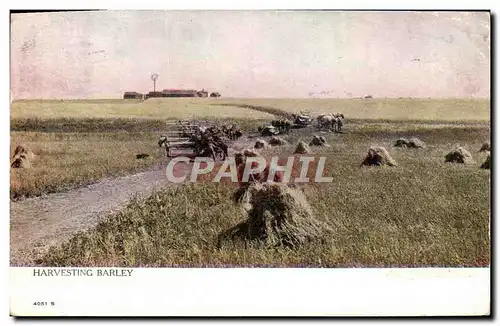 Cartes postales Harvesting Barley Machines agricoles