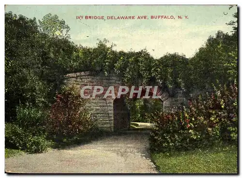 Cartes postales Ivy Bridge Delaware Ave Buffalo NY