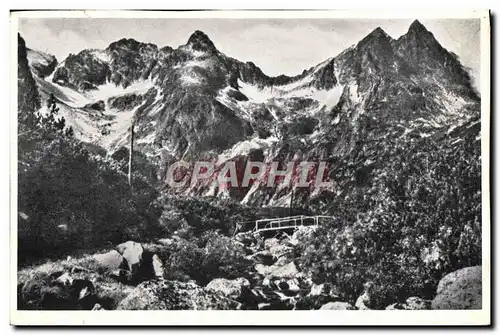 Cartes postales Vysoke Tatry Cesta k Zelenemu plesu Hohe Tatra Weg Zum Greunen See