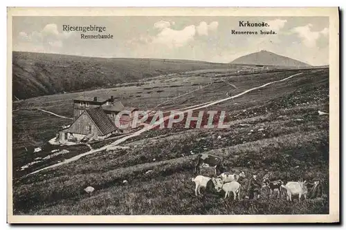 Cartes postales Riesengebirge Rennerbaude Krkonose Rennerova bouda Chevre Chevres