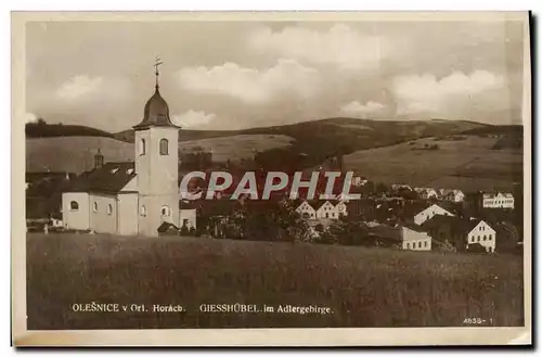 Cartes postales Olesnice Horacb Giesshobel Adlergebrige