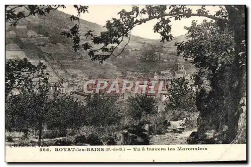 Cartes postales Royat Les Bains Vu a travers les Maronniers