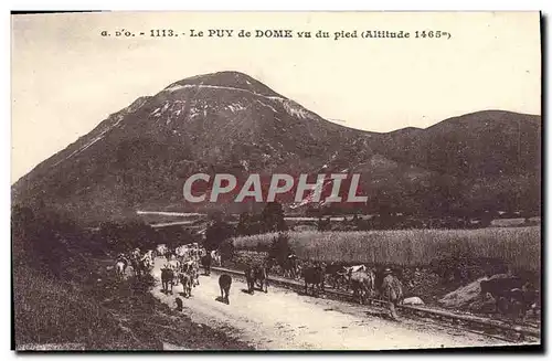 Cartes postales Le Puy de Dome vu du pied Vaches