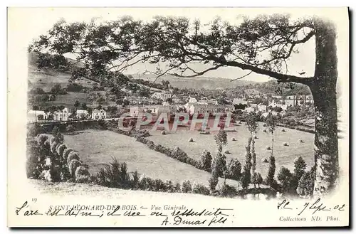 Cartes postales Saint Elonard des Bois Vue Generale