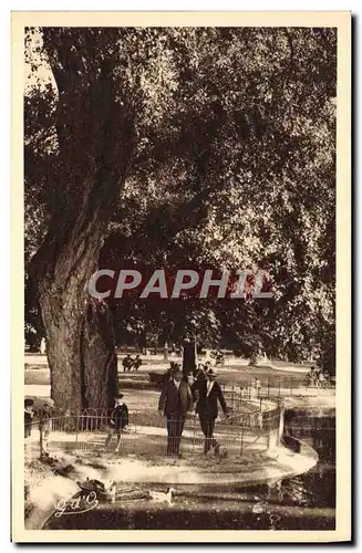 Cartes postales Vichy Dans Les Grands Parcs Bassin des Cygnes